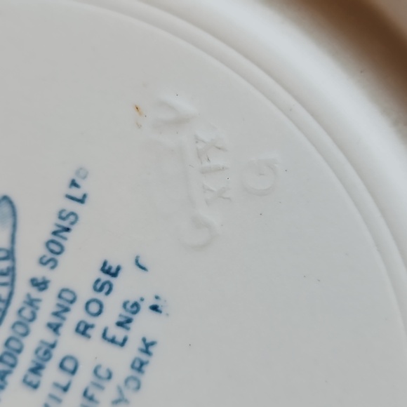 1896 signed John Maddock & Sons England Wild Rose vetrified china salad plate - Picture 4 of 9